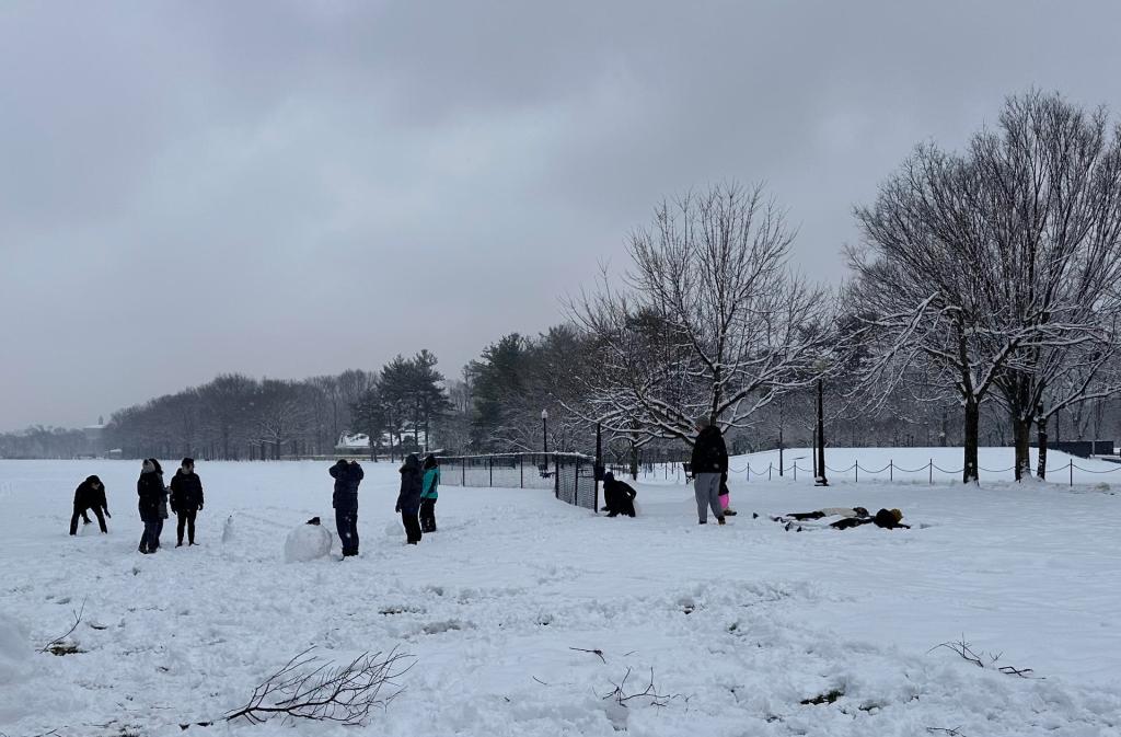 Tormenta invernal deja 89 muertos en Estados Unidos