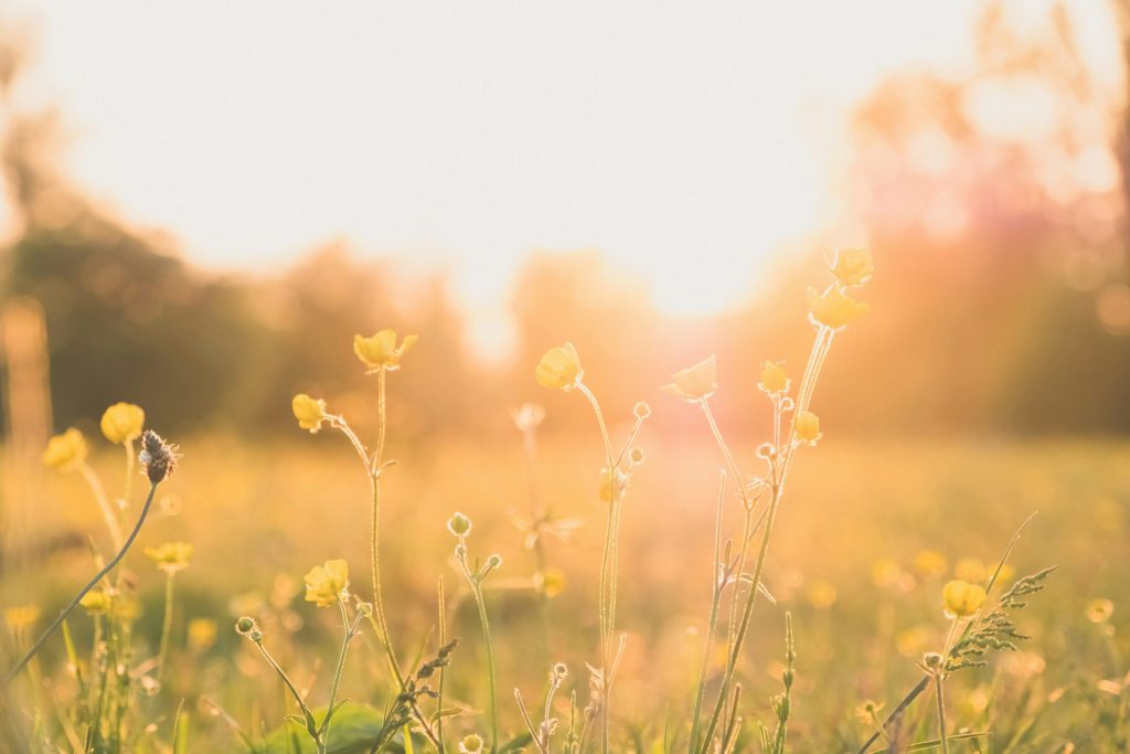 Llega el equinoccio de primavera