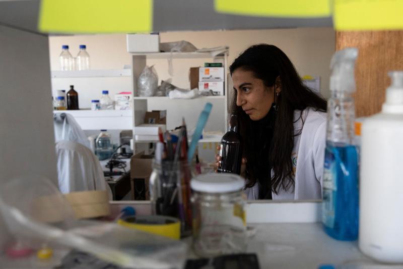 EE.UU. recorta miles de millones de dólares en financiación para investigación biomédica