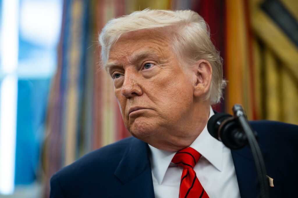 Trump exige que se investigue a artistas que apoyaron a Kamala Harris