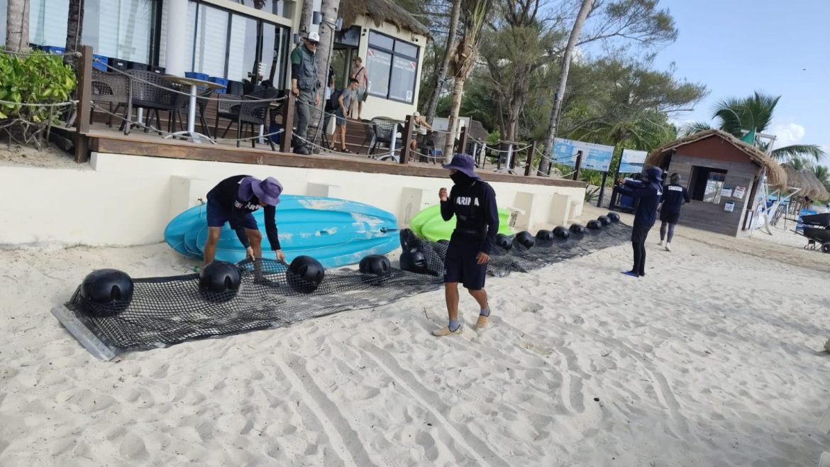 Playa del Carmen blinda su litoral con cinco kilómetros de barreras antisargazo: Estefanía Mercado