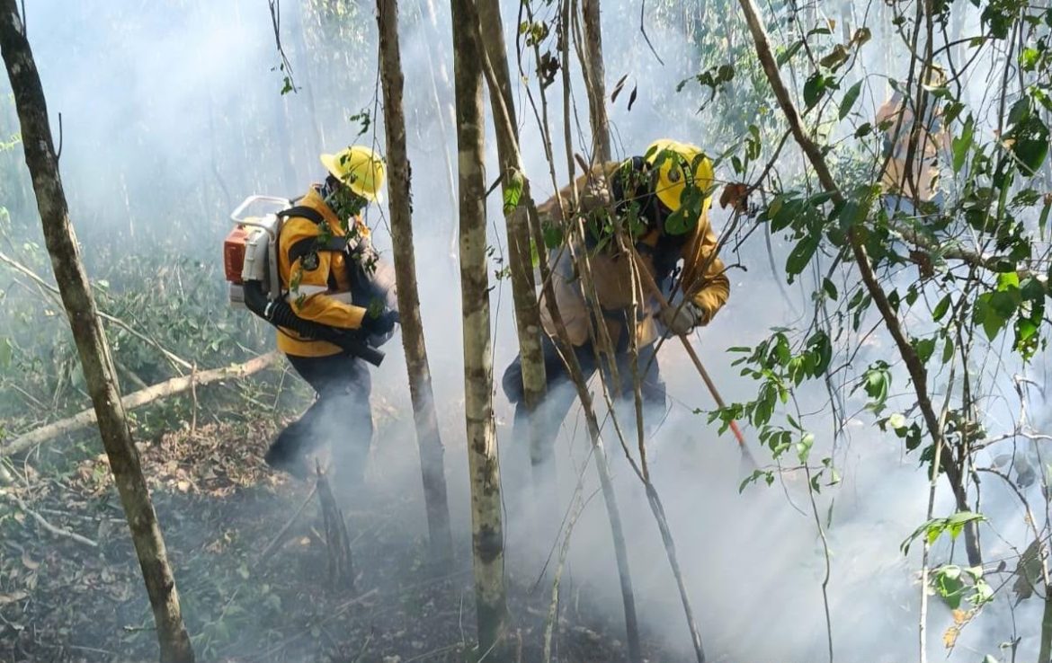 Gobierno de Estefanía Mercado suma esfuerzos con CONAFOR en combate a incendio forestal