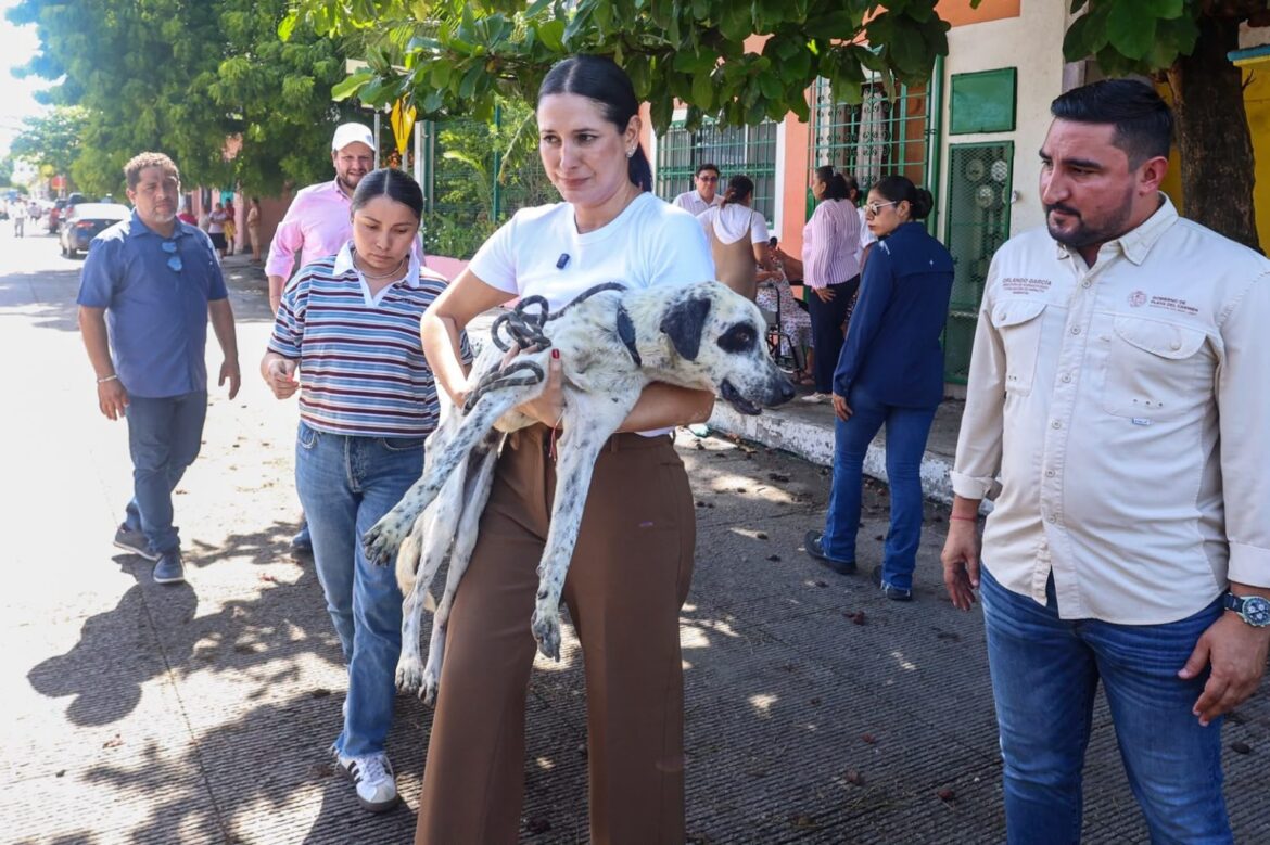 Estefanía Mercado encabeza operativo de rescate de ocho caninos en situación vulnerable